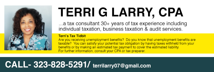 Terri G Larry CPA