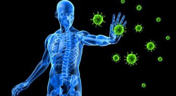 What is an immune system?
