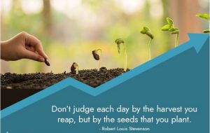 Don't Judge